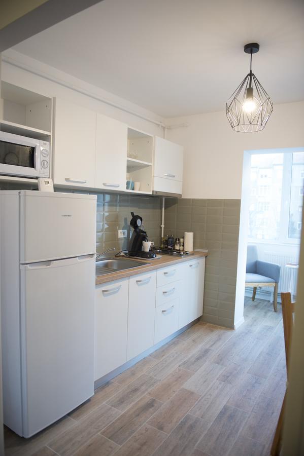 Smp Apartment 2 티미쇼아라 외부 사진